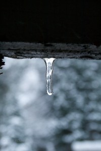 Icicle